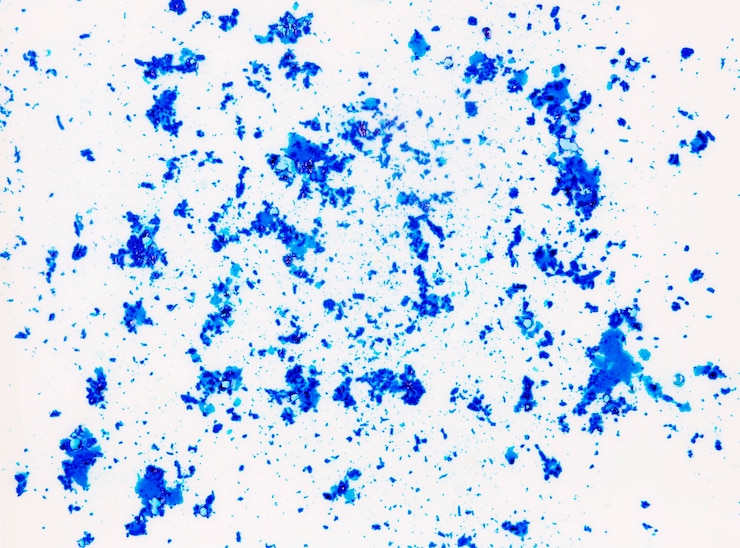 Foto gratuito polvere di colore blu holi su sfondo bianco