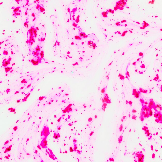 Polvere di colore rosa Holi mescolato con fondo astratto strutturato liquido