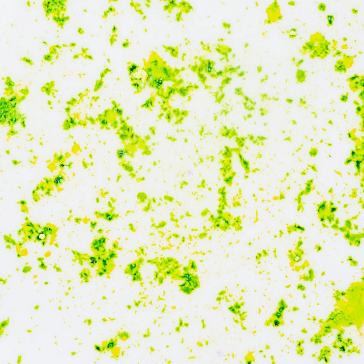 Foto gratuito polvere di colore verde strutturato su sfondo bianco