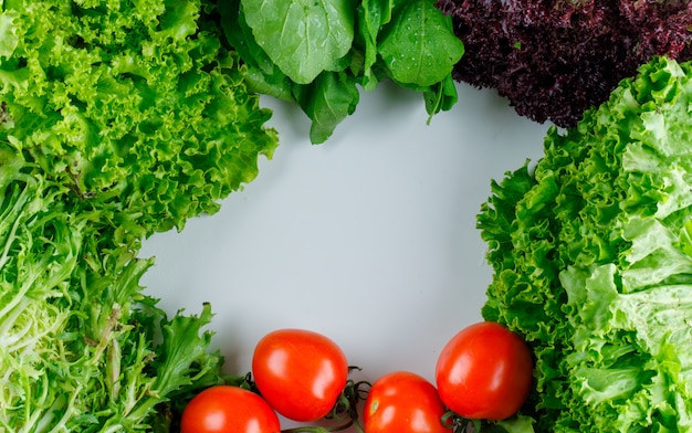 Pomodori con verdure a foglia verde, lattuga rossa, piatto disteso.