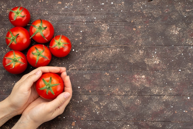 Pomodori femminili maturi e ortaggi freschi della tenuta di vista superiore su marrone