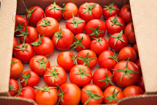 Pomodori freschi rossi raccolti in una scatola di cartone per la vendita.