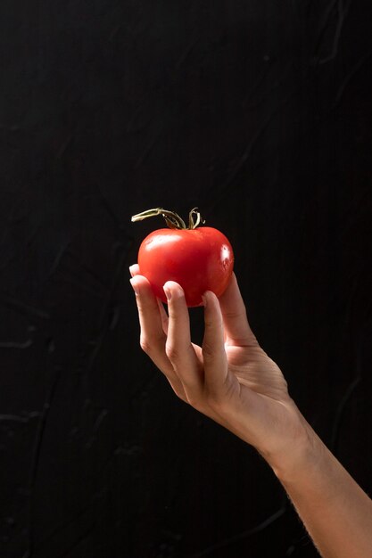 Pomodoro della tenuta della mano del primo piano