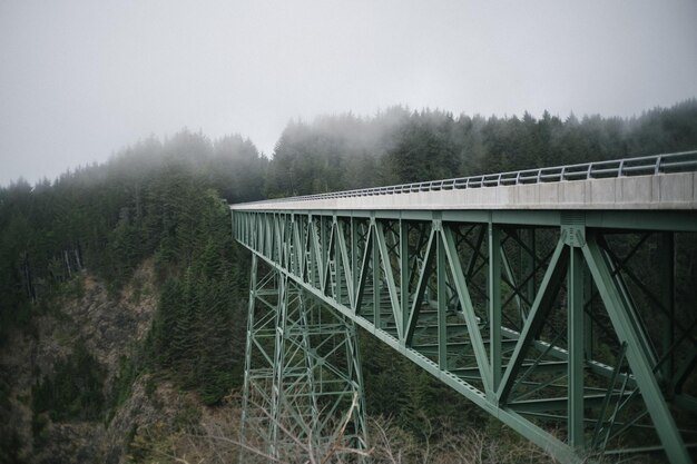 Ponte ad arco in acciaio verde in una foresta coperta dalla nebbia in una giornata uggiosa