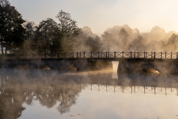 Ponte ad arco in cemento sopra un lago circondato da alberi coperti di nebbia