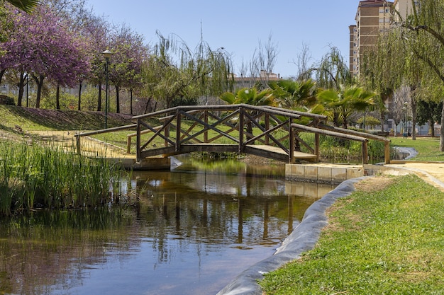 Ponte di legno su un fiume in un parco a Malaga, Paisaje