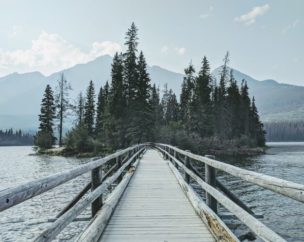 Ponte di legno sull'acqua verso la foresta con le montagne