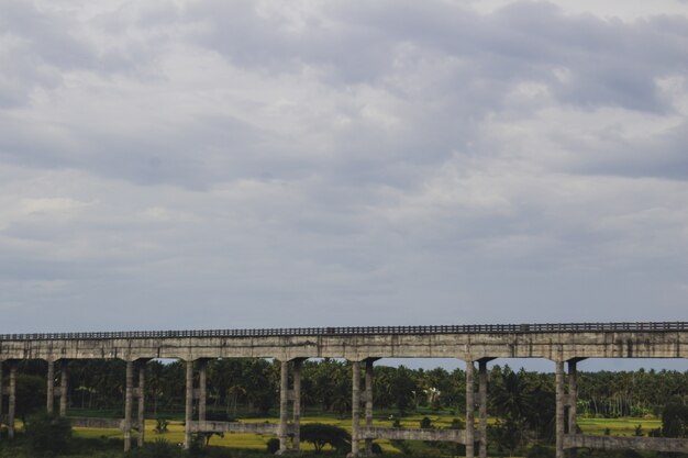 Ponte lungo