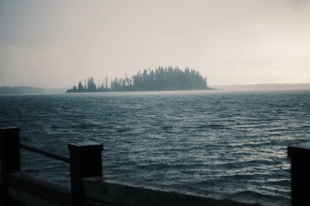 Pontili in legno sul corpo dell'acqua pura del lago in una giornata nebbiosa