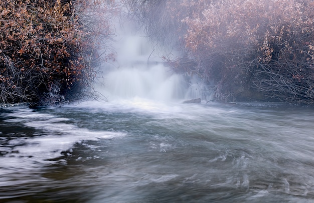 potente cascata circondata da piante secche