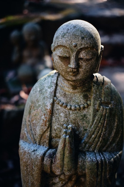 Pregando statua del buddha, religione buddista