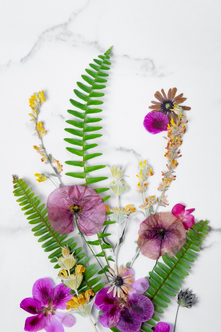 Foto gratuito prensa per fiori in vista dall'alto con sfondo bianco