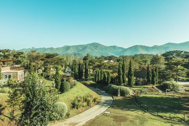 primavera selvatici sfondo sole fiori