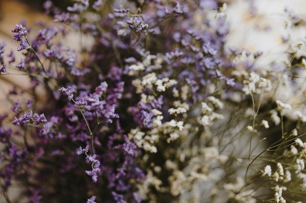 Primo piano dei fiori di caspia bianchi e viola