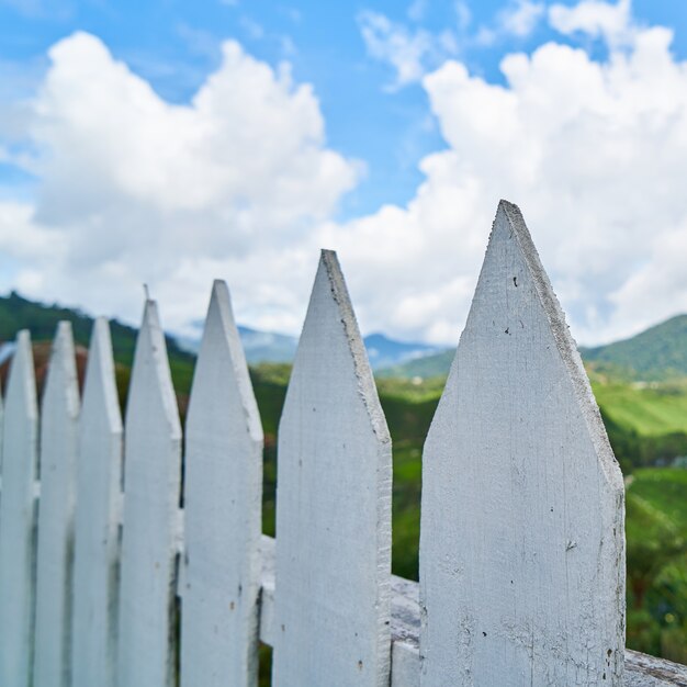 Primo piano del bianco staccionata in legno