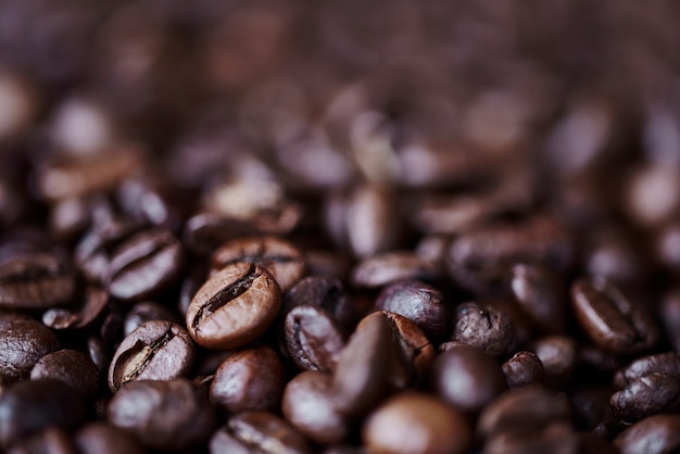 Primo piano del chicco di caffè sfocato