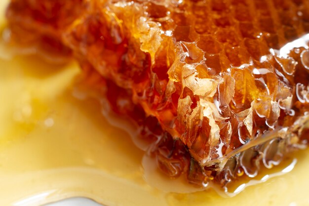 Primo piano del favo con cera d'api e miele