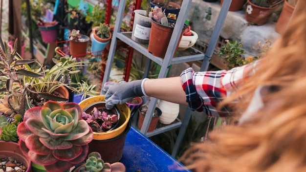 Primo piano del giardiniere femminile che sistema la pianta in vaso nel giardino domestico