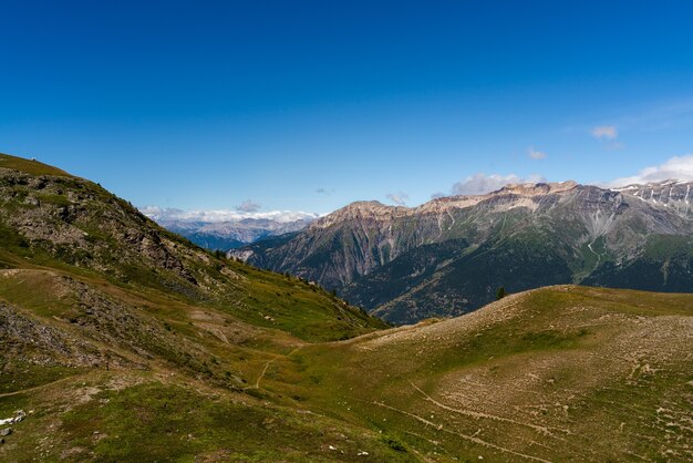 Primo piano del Parco Naturale Grand Del Bosco Di Salbertrand Montagne Italy