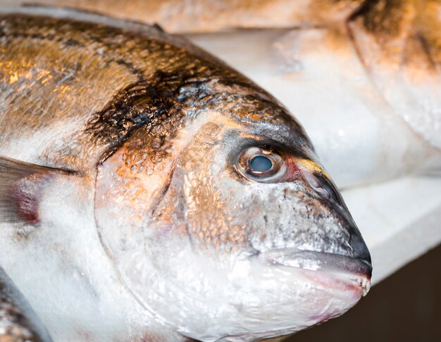 Primo piano del pesce fresco in negozio