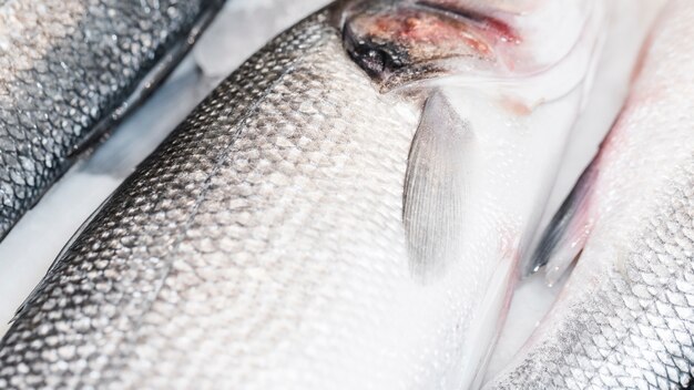 Primo piano del pesce fresco nel mercato