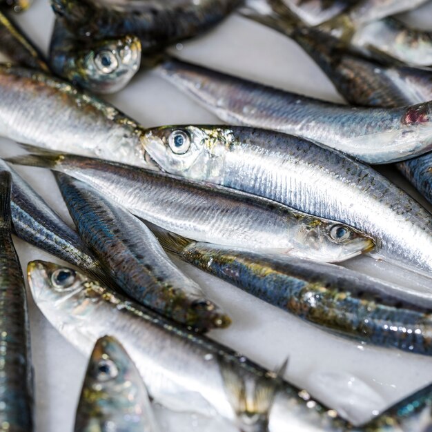 Primo piano del pesce fresco su ghiaccio