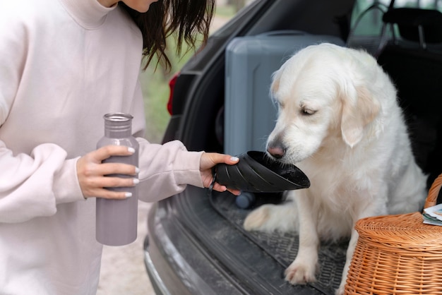 Primo piano del proprietario che dà acqua al cane