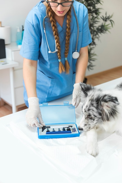 Primo piano del veterinario che apre la scatola dell&#39;otoscopio sulla tavola