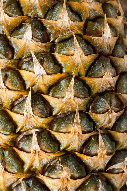 Primo piano delizioso della composizione di struttura del cibo