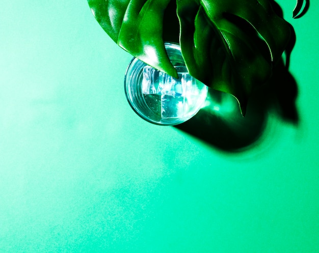 Primo piano della foglia verde sopra il bicchiere d&#39;acqua con cubetti di ghiaccio sul contesto verde