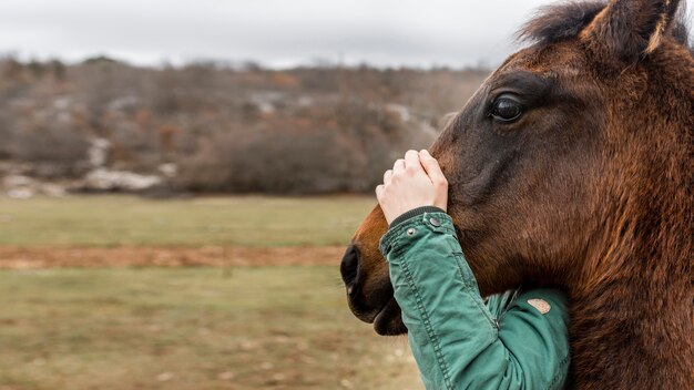 Primo piano della mano che tiene la testa di cavallo