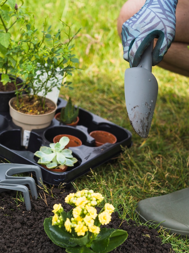 Foto gratuito primo piano della mano del giardiniere con alberello vivido per piantare