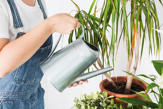 Primo piano della mano di una donna che versa acqua in pianta in vaso