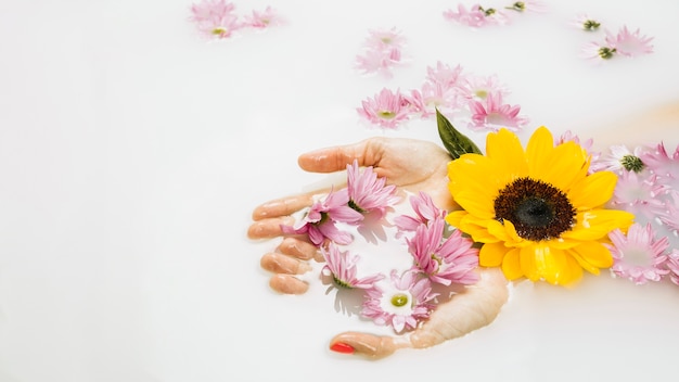 Primo piano della mano di una donna con bei fiori gialli e rosa in acqua di bagno