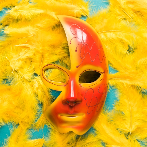 Primo piano della maschera di carnevale sulle piume