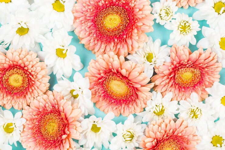 Foto gratuito primo piano della priorità bassa dei fiori bianchi e dentellare