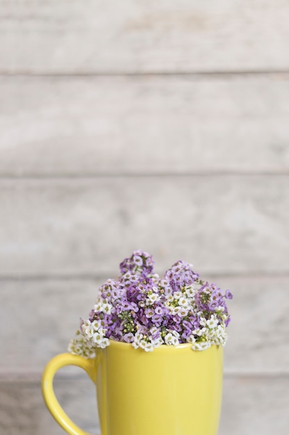 Primo piano della tazza gialla con i fiori