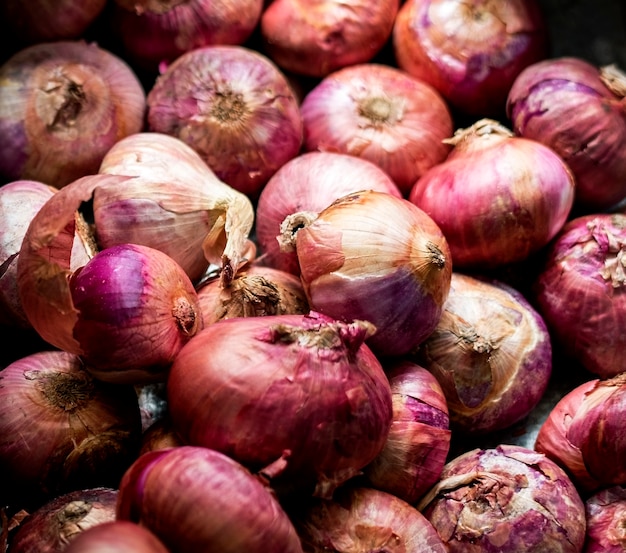 Primo piano delle cipolle rosse che cucinano gli ingredienti