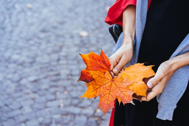 Primo piano delle mani della ragazza che tengono le foglie dell'albero di acero di autunno