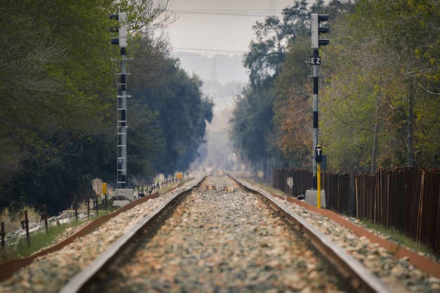 Primo piano delle rotaie del treno e di una staccionata di legno sulla destra