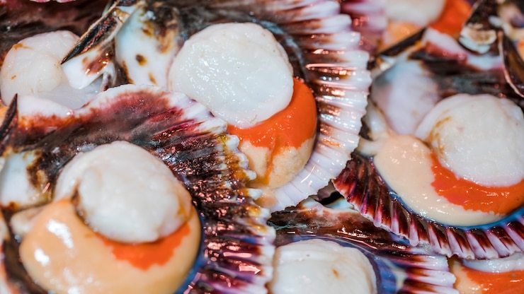 Foto gratuito primo piano delle vongole fresche nel mercato