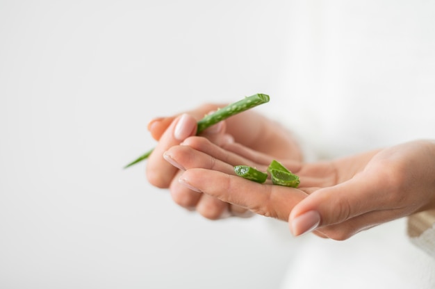 Primo piano di aloe vera