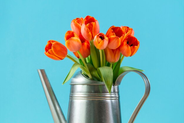 Primo piano di annaffiatoio con tulipani piuttosto
