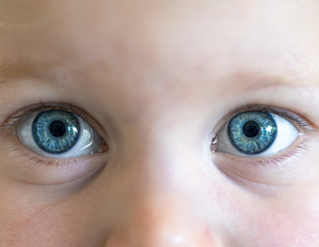 Primo piano di bellissimi occhi azzurri di un bambino.