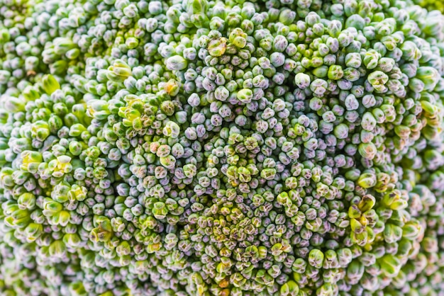 Primo piano di broccoli