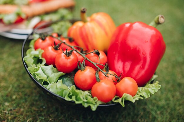 Primo piano di deliziosi panini con verdure. Ciuffo di verdure sane eco sull'erba.