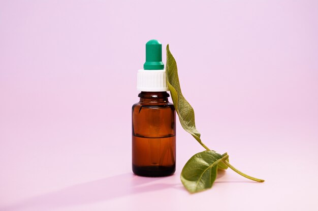 Primo piano di estratti di foglie medicinali in una bottiglia di medicina su una parete rosa