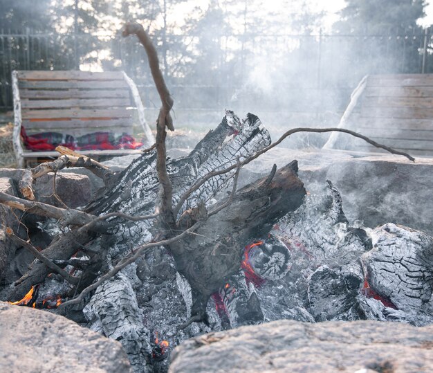 Primo piano di grandi tronchi di un albero in un incendio morente