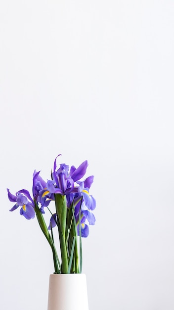 Primo piano di iris viola in uno sfondo del telefono cellulare vaso bianco