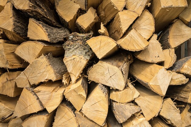 Primo piano di legna da ardere di quercia e faggio accatastati l'uno sull'altro